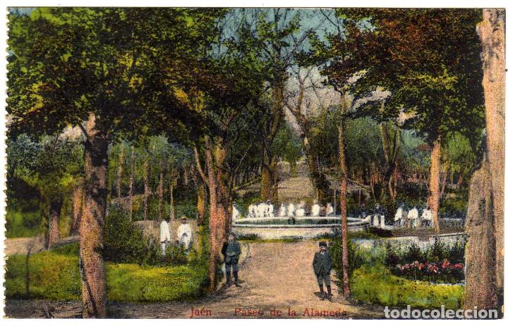 Postcards: PRECIOSA POSTAL - JAEN - PASEO DE LA ALAMEDA