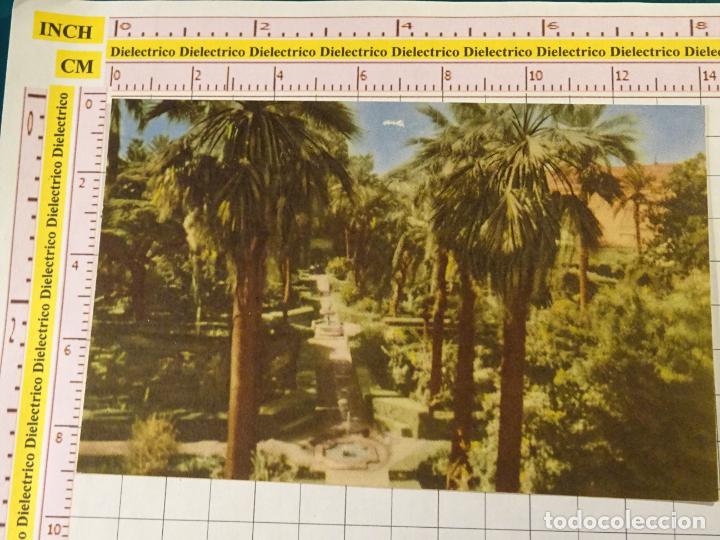 Postais: POSTAL DE SEVILLA. A&Ntilde;OS 30 50. REALES ALC&Aacute;ZARES. JARDINES. 10 HELIOTIPIA. 1210