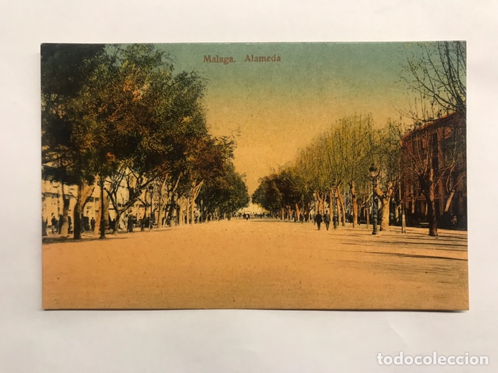 Postales: MALAGA. Postal Animada. Alameda. Edita: Tarjeta Postal (a.1915)