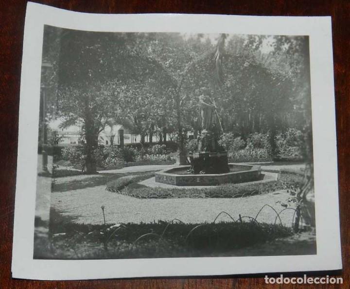 Postales: FOTOGRAFIA DE MALAGA, EL PARQUE, A&Ntilde;OS 20, MIDE 7 X 6 CMS.