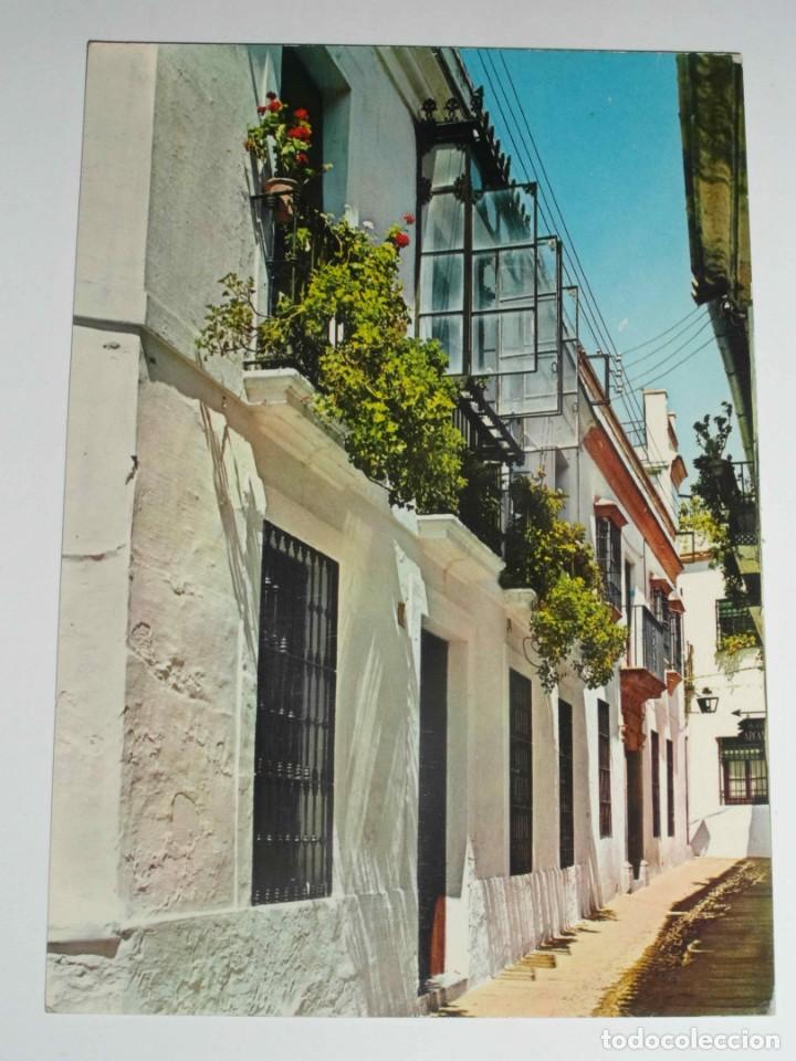 Postales: Cordoba n&ordm; 17. Calleja tipica. Dominguez. Sin circular. CCTT
