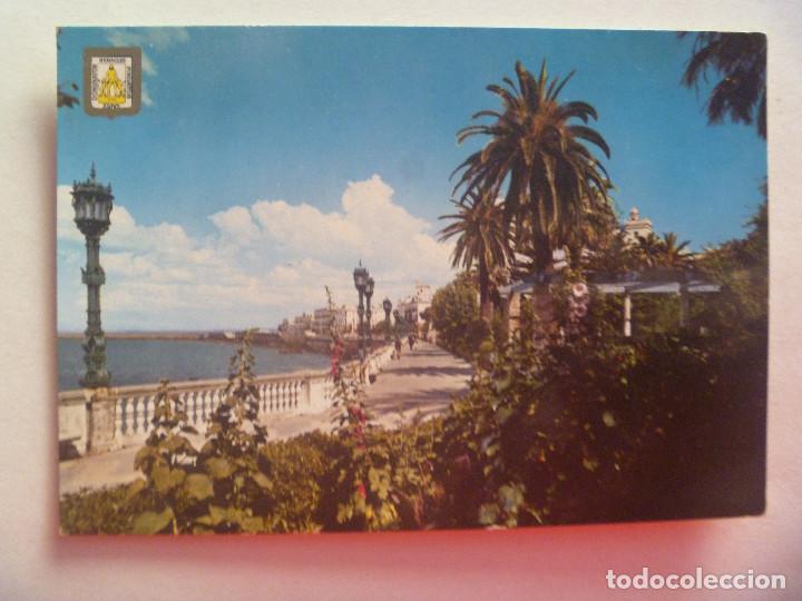 Postales: POSTAL DE CADIZ : ALAMEDA DEL MARQUES DE COMILLAS . A&Ntilde;OS 60