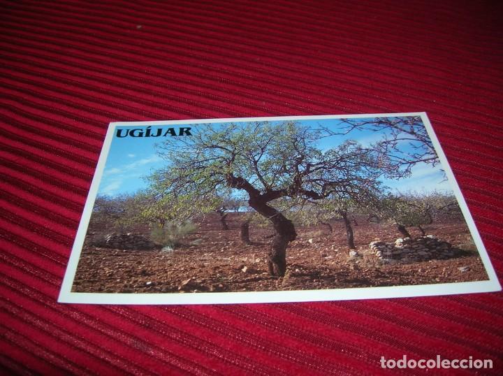 Postales: Postal de Ug&iacute;jar.Granada.Almendros. - Foto 1