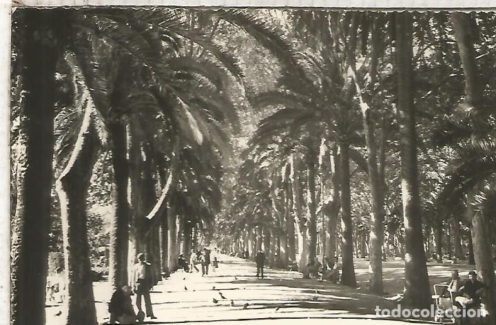 Postales: MALAGA ESCRITA