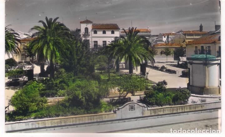 Postcards: POSTAL DE MORON DE LA FRONTERA -PASEO DE LA CARRERA .
