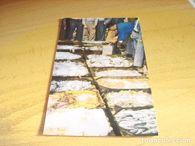 Postales: SANLUCAR DE BARRAMEDA - CADIZ - SUBASTA DE PESCADO EN BAJO DE GUIA