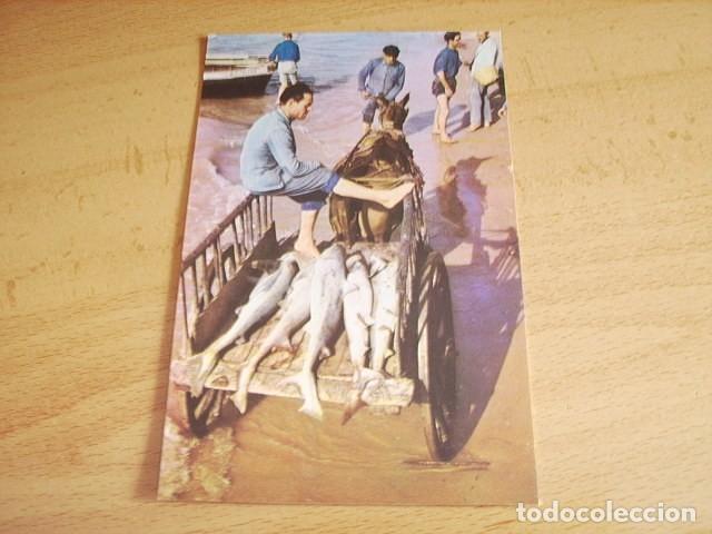 Postales: SANLUCAR DE BARRAMEDA - CADIZ - TRANSPORTE DE PESCADO AL SALADERO