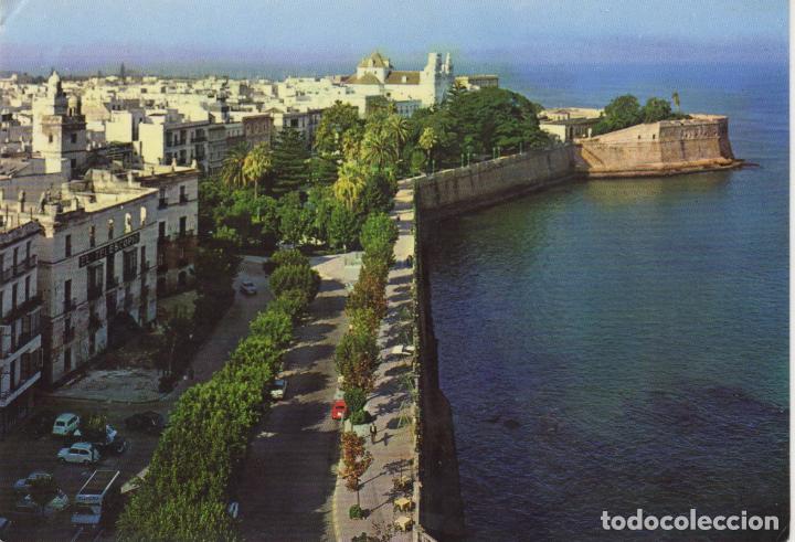 Postales: postal n&ordm; 62 alamedas vista parcial cadiz