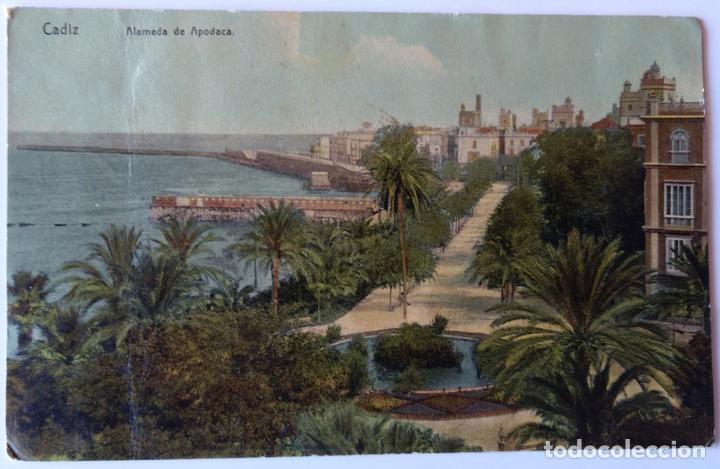 Postales: CADIZ - Foto 1