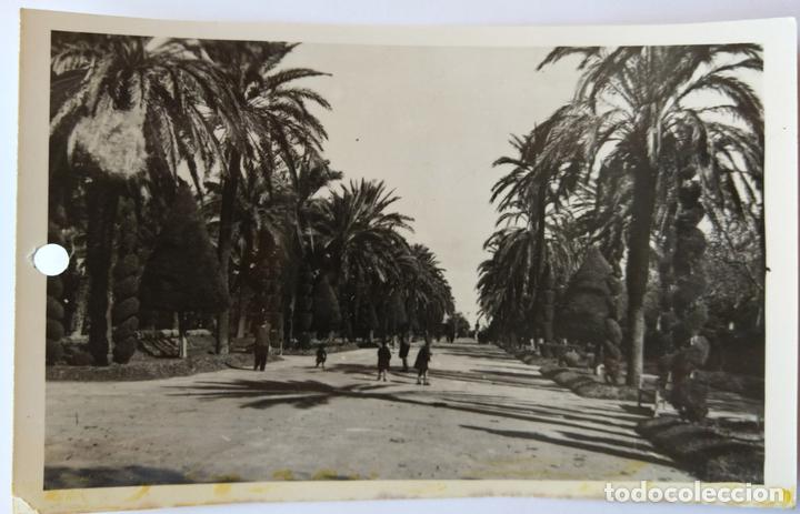 Postales: CADIZ - Foto 1