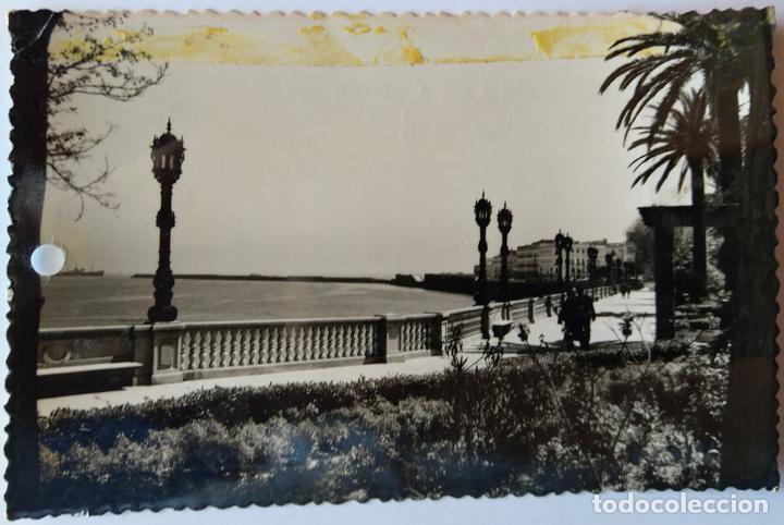 Postales: CADIZ - Foto 1