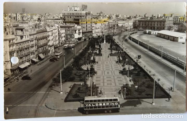 Postales: CADIZ - Foto 1