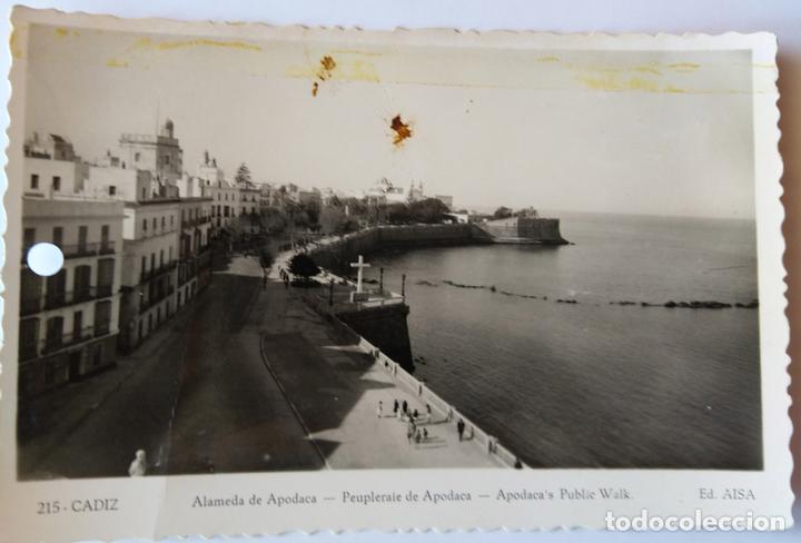 Postales: CADIZ - Foto 1