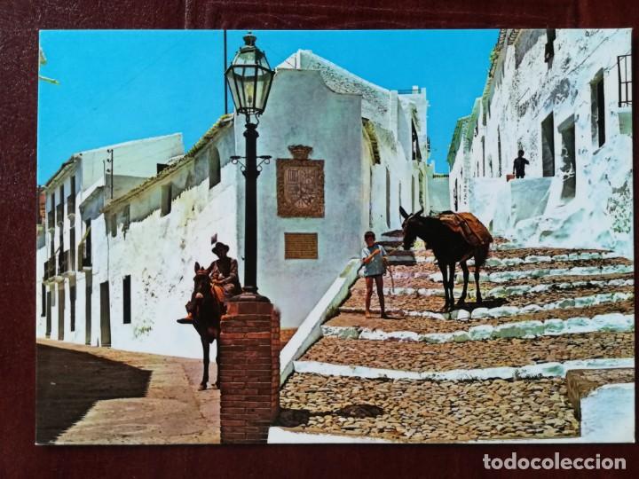 Postales: FRIGILIANA MALAGA. CALLE T&Iacute;PICA 1976