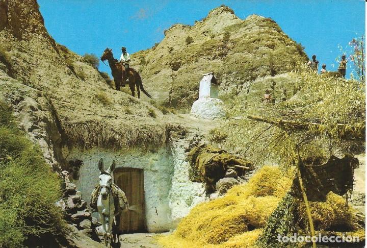 Postales: [POSTAL] Cuevas. Purullena (Granada) (sin circular)
