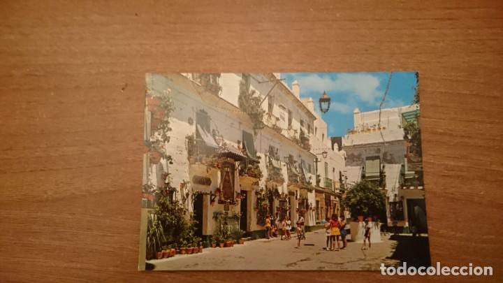 Postais: POSTAL CADIZ TIO DE LA TIZA SIN CIRCULAR