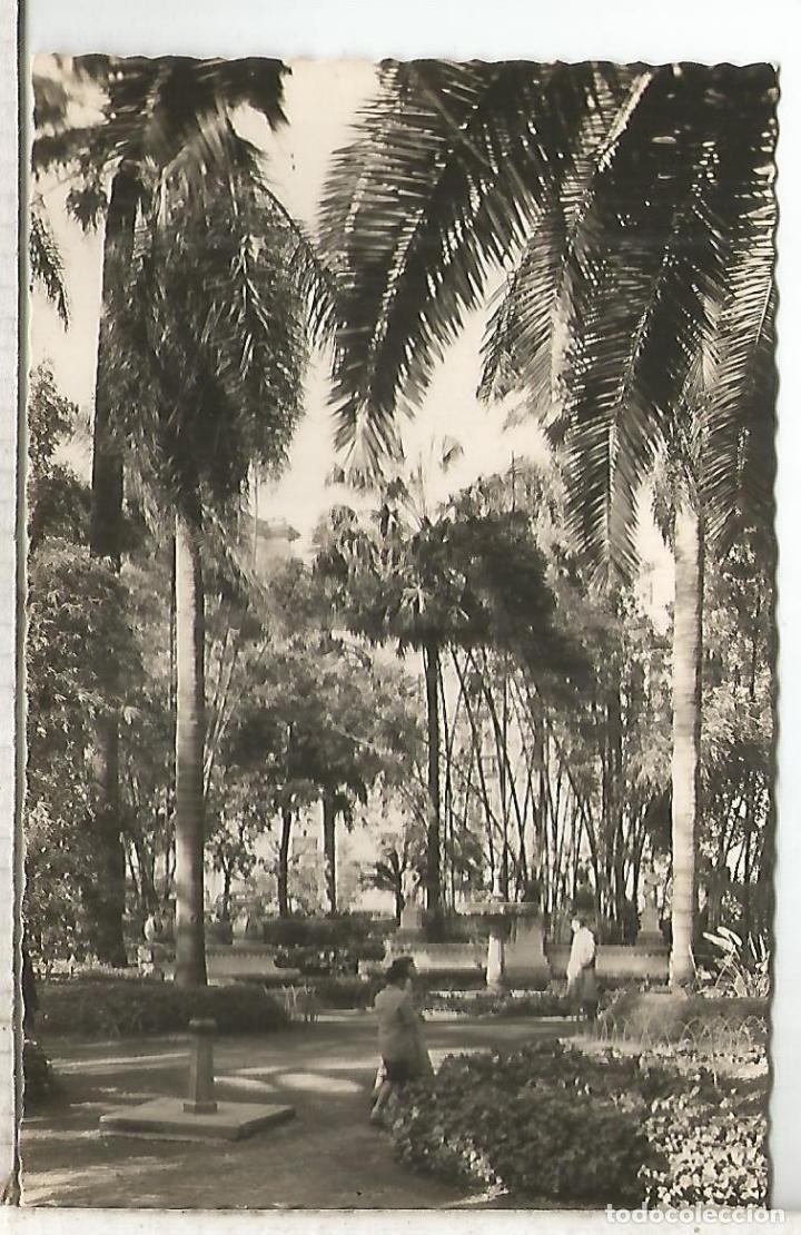 Postales: MALAGA PARQUE SALVADOR SIN ESCRIBIR