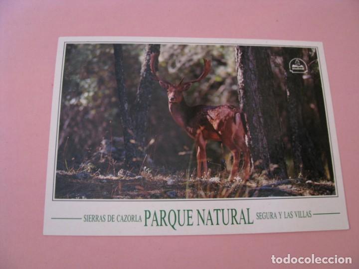Postales: POSTAL SIERRAS DE CAZORLA PARQUE NATURAL SEGURA Y LAS VILLAS. GAMO.
