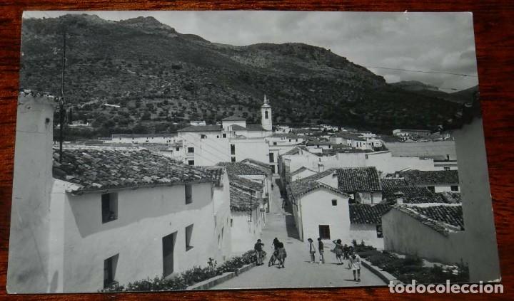 Postales: FOTO POSTAL DE CORTES DE LA FRONTERA, MALAGA, N. 3, CALLE DE CALVO SOTELO, NO CIRCULADA, SIN DIVIDIR