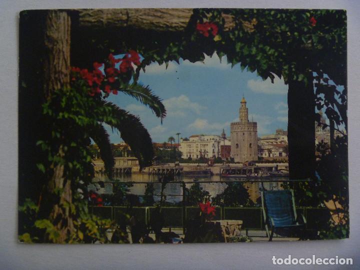 Postales: POSTAL DE SEVILLA : LA TORRE DEL ORO - Foto 1