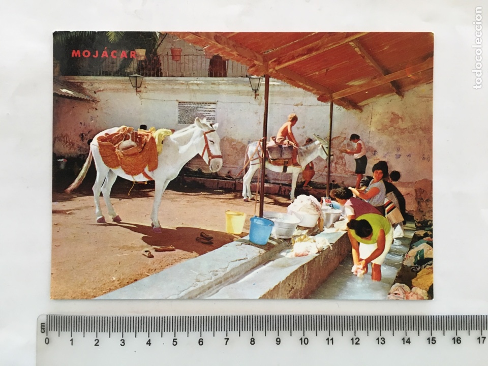 Postales: POSTAL. MOJACAR. LAVANDER&Iacute;A T&Iacute;PICA. ESTABLECIMIENTOS FLORES BARAZA. H. 1970?.