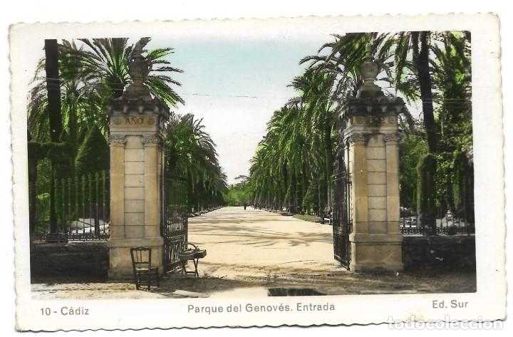 Postales: POSTAL DE CADIZ, PARQUE DEL GENOVES. ENTRADA. ED. SUR. CIRCULADA