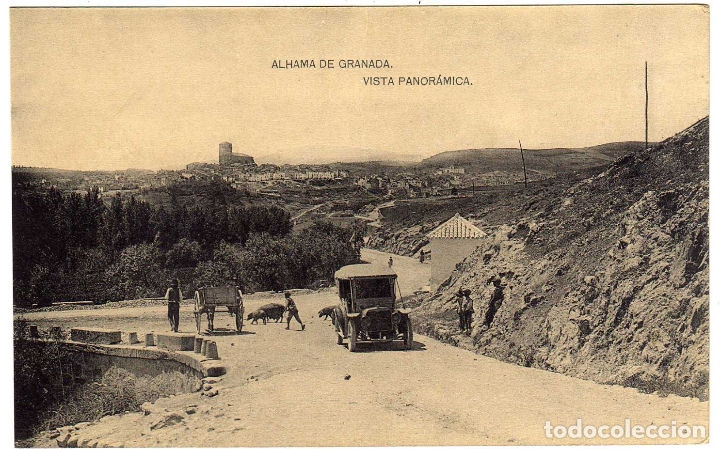 Postales: PRECIOSA POSTAL - ALHAMA DE GRANADA - VISTA PANORAMICA
