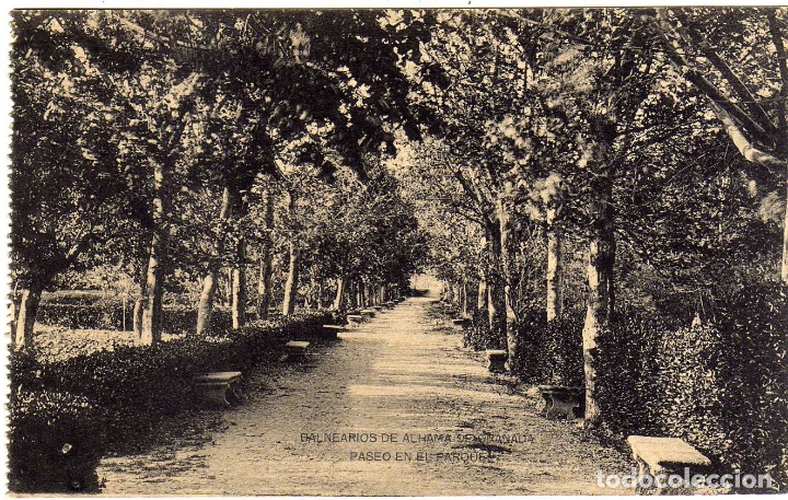 Postales: BONITA POSTAL - BALNEARIOS DE ALHAMA DE GRANADA - PASEO EN EL PARQUE