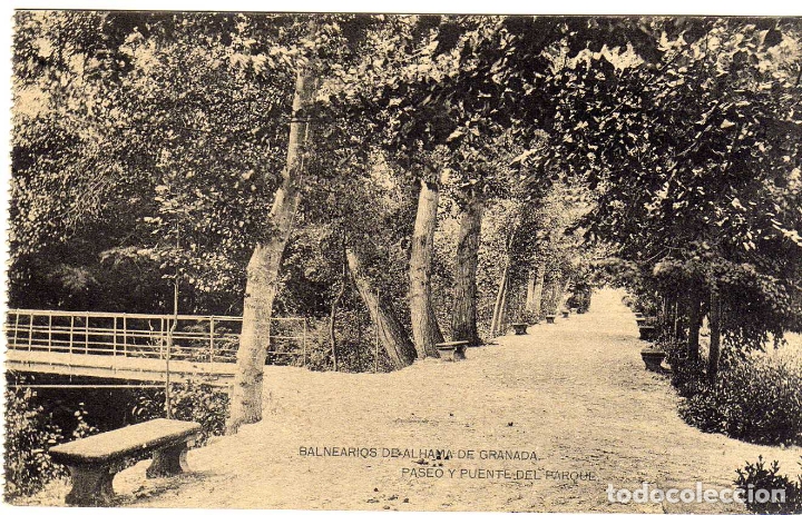 Postales: BONITA POSTAL - BALNEARIOS DE ALHAMA DE GRANADA - PASEO Y PUENTE DEL PARQUE