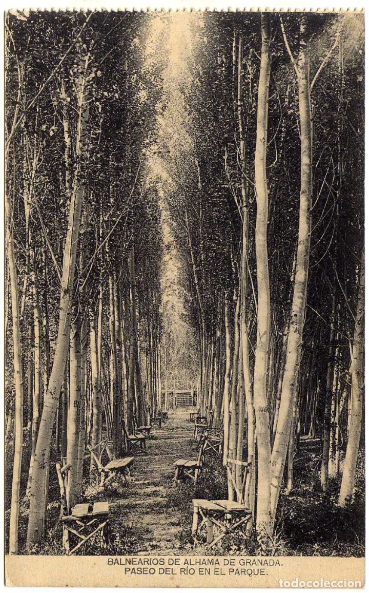 Postales: BONITA POSTAL - BALNEARIOS DE ALHAMA DE GRANADA - PASEO DEL RIO EN EL PARQUE