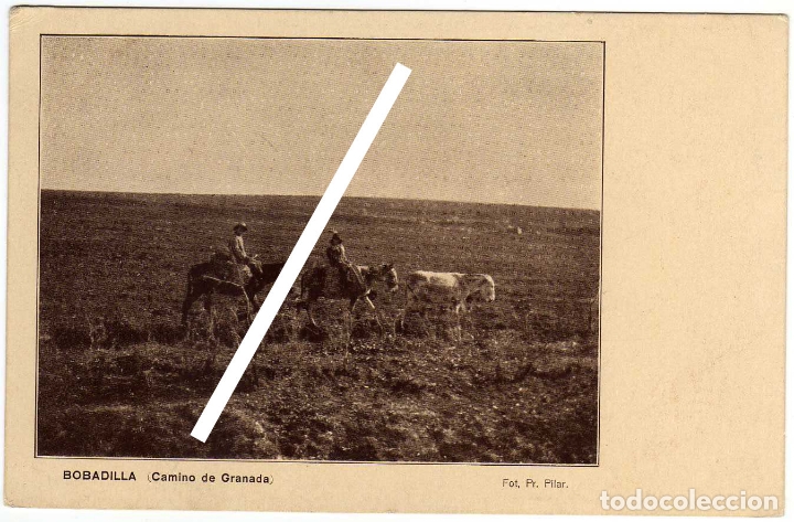 Postales: MAGNIFICA POSTAL - BOBADILLA - CAMINO DE GRANADA - FOT. PR. PILAR