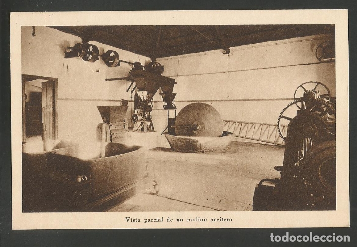 Postales: SEVILLA-MOLINO ACEITERO-HUECOGRABADO MUMBRU-ACEITUNAS OLIVAS-VER REVERSO-(60.018)