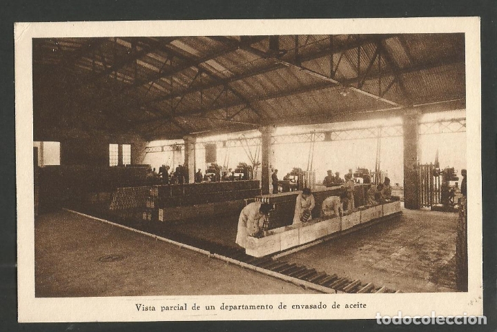 Postales: SEVILLA-ENVASADO DE ACEITE-HUECOGRABADO MUMBRU-ACEITUNAS OLIVAS-VER REVERSO-(60.025)