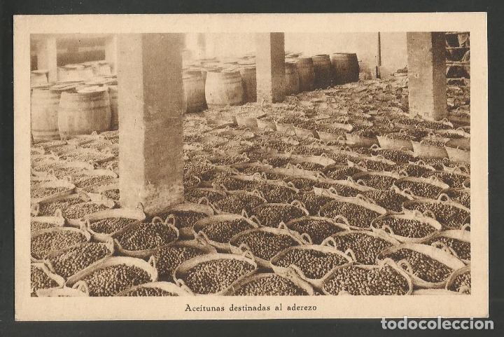 Postales: SEVILLA-ACEITUNAS-HUECOGRABADO MUMBRU-ACEITUNAS OLIVAS-VER REVERSO-(60.026)