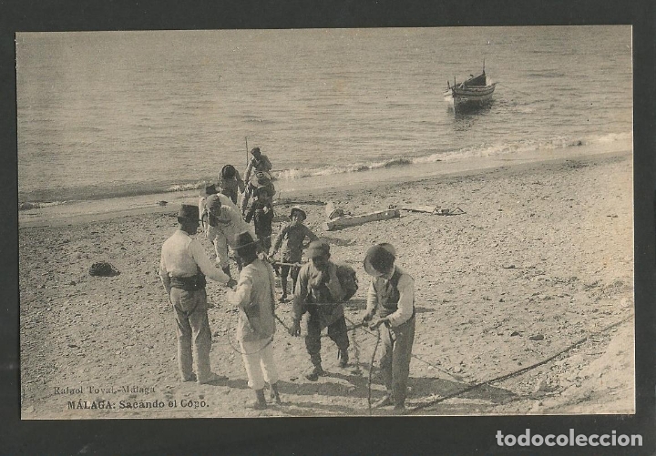 Postales: MALAGA-SACANDO EL COPO-RAFAEL TOVAL-VER REVERSO-(60.021)