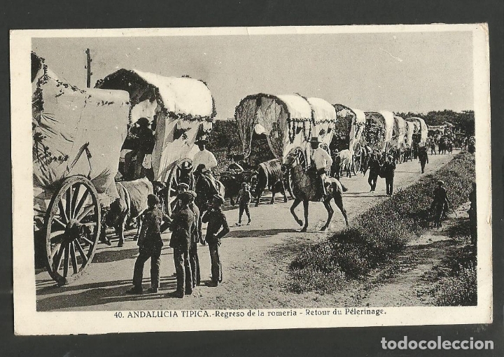 Postkarten: ANDALUCIA-REGRESO DE LA ROMERIA-40-FOTOGRAFICA ROISIN-VER REVERSO-(60.041)