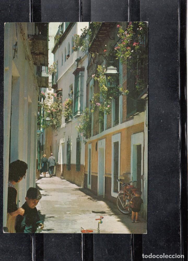 Postales: SEVILLA.- N&ordm; 118. CALLE T&Iacute;PICA SEVILLANA