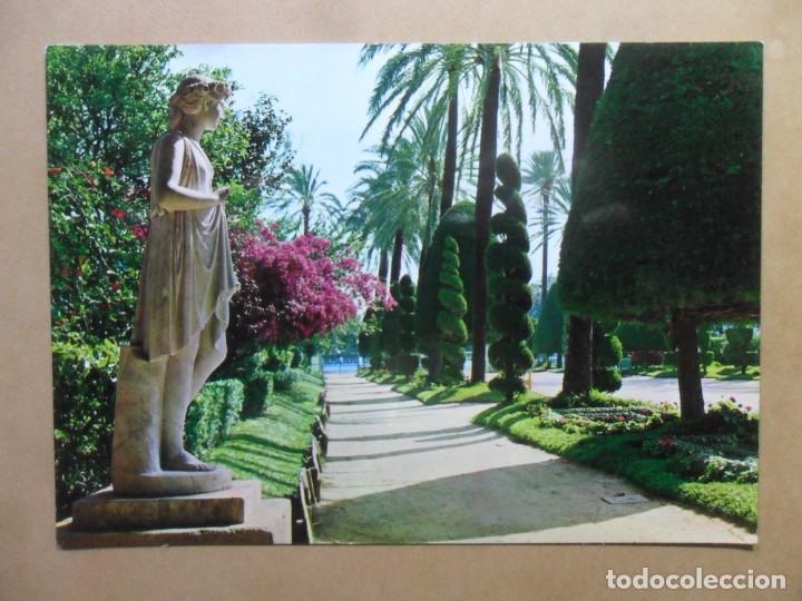 Postales: POSTAL - 40 - CADIZ - PARQUE DE GENOVES. DETALLE - ED. SICILIA