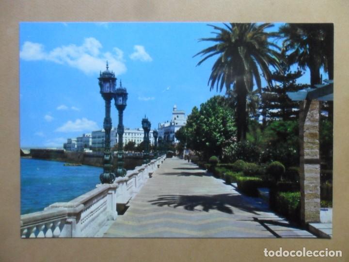 Postkarten: POSTAL - 527 - CADIZ - ALAMEDA MARQUES DE COMILLAS - ED. SICILIA
