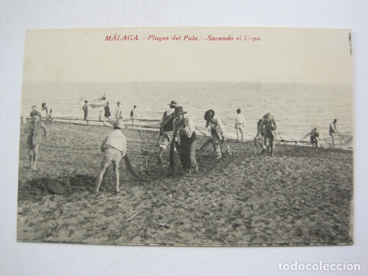 Postales: MALAGA-PLAYAS DEL PALO-SACANDO EL COPO-ED&middot;RAFAEL TOVAL-VER FOTOS-(60.704)