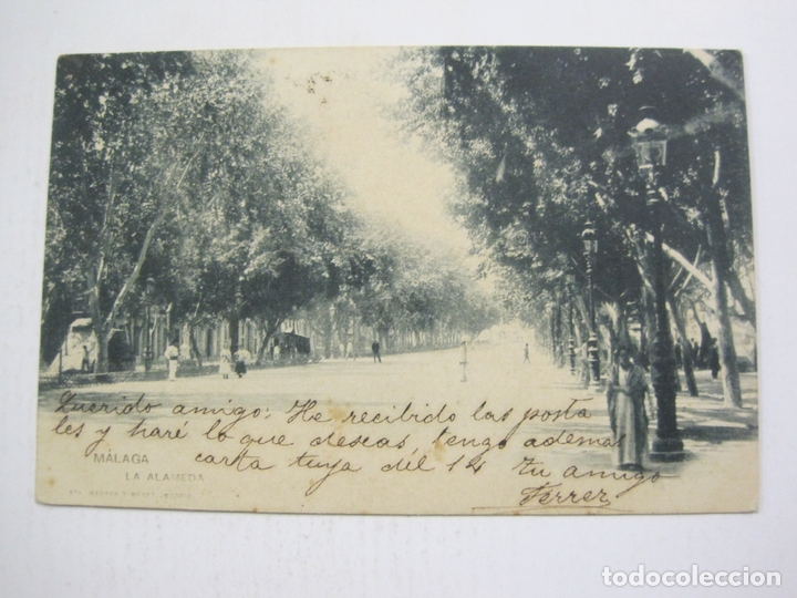 Postales: MALAGA-LA ALAMEDA-179-HAUSER Y MENET-REVERSO SIN DIVIDIR-VER FOTOS-(60.712)
