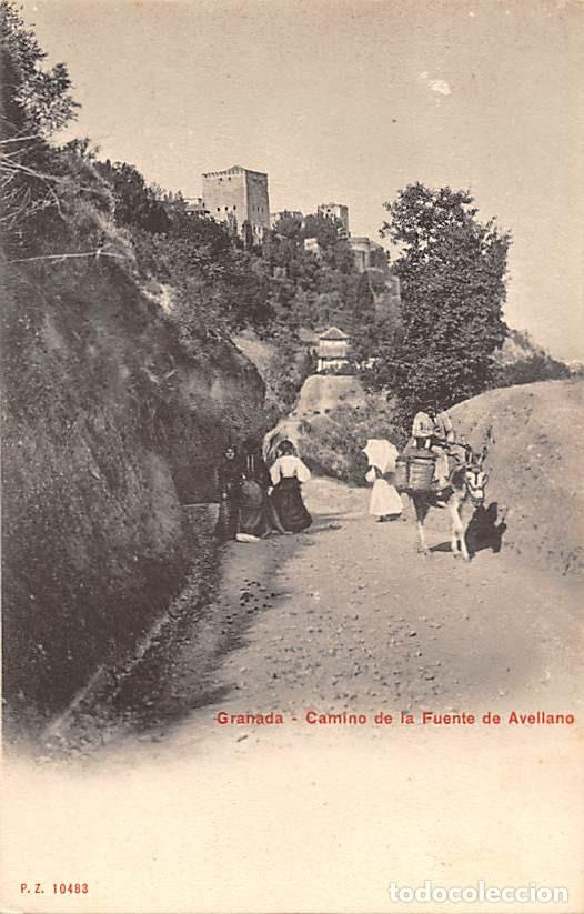 Postales: GRANADA.- CAMINO DE LA FUENTE DE AVELLANO- PZ 10483