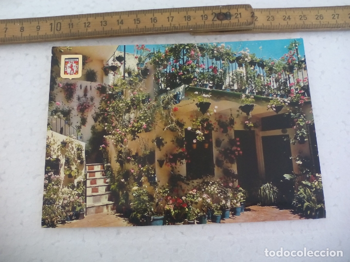 Postales: N&ordm; 747 PATIO CORDOB&Eacute;S, 1966. CORDOBA, . POSTAL POSTCARD