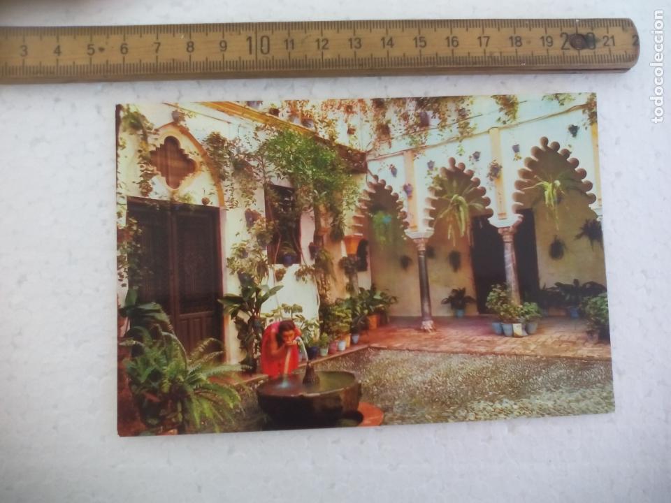 Postales: PATIO T&Iacute;PICO. N&ordm; 101. EDICIONES RO-FOTO.. CORDOBA. POSTAL POSTCARD