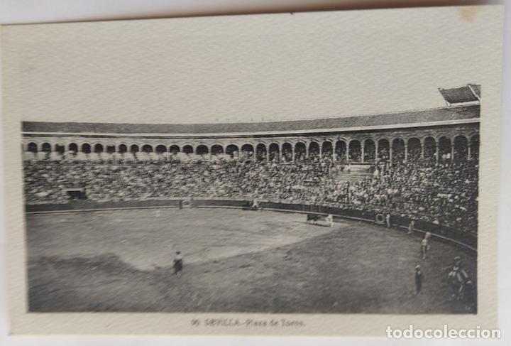 Postales: SEVILLA - Foto 1