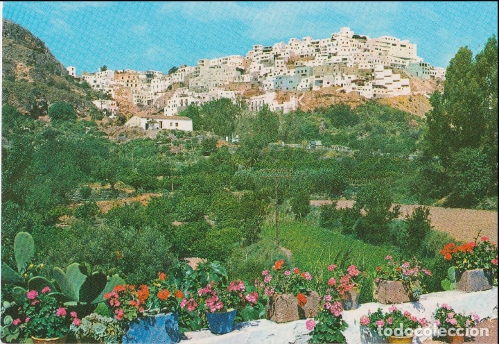 Postales: MOJACAR (ALMERIA), VISTA PANORAMICA - EDICIONES ARRIBAS, N&ordm; 1 - ESCRITA
