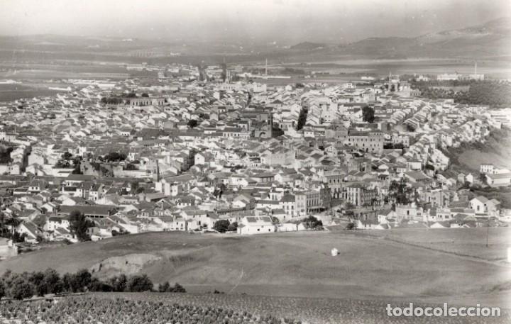 Postales: puente genil. 34 vista panor&aacute;mica. arribas