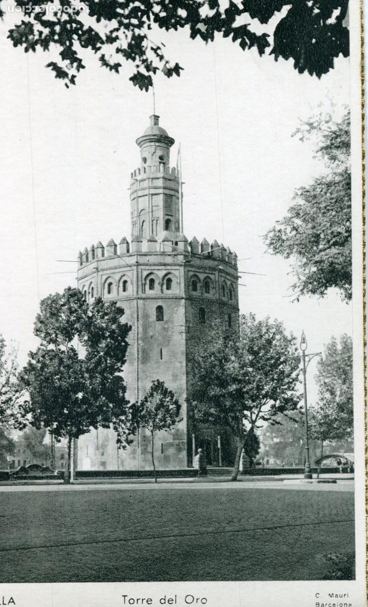 Postales: SEVILLA.TORRE DEL ORO. C. MAURI - Foto 1
