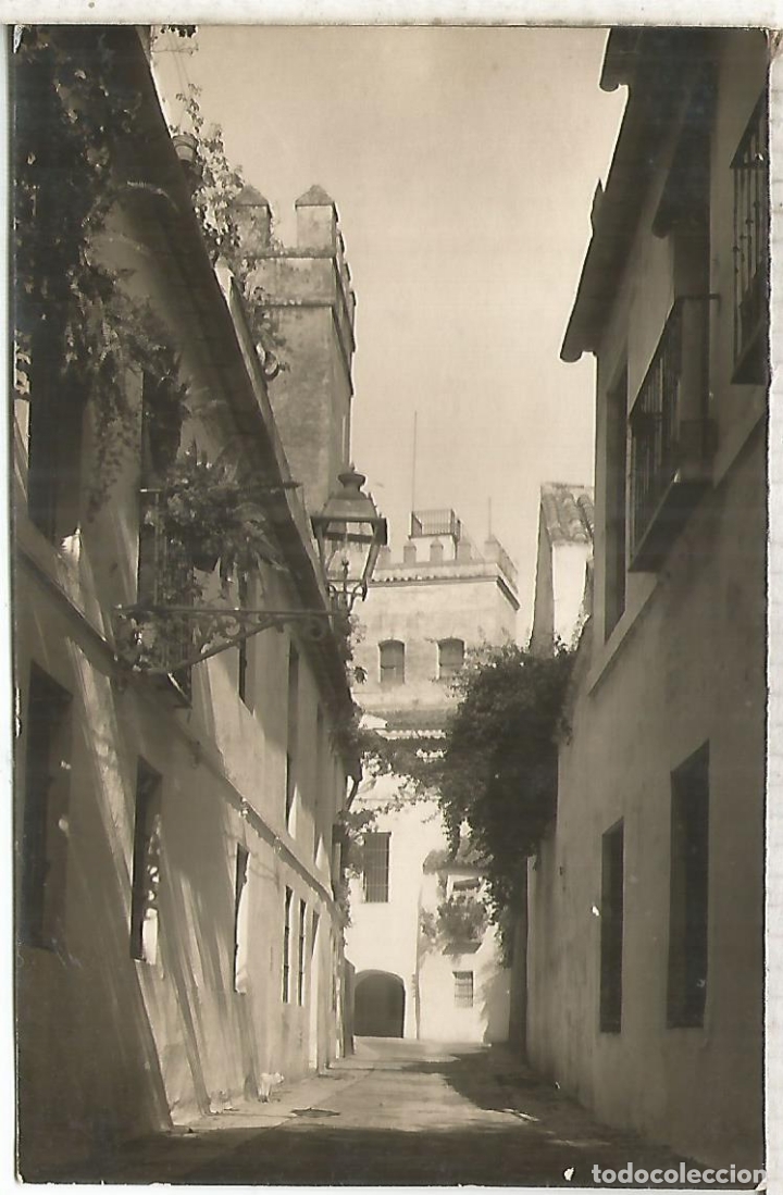 Postales: SEVILLA  SIN ESCRIBIR - Foto 1