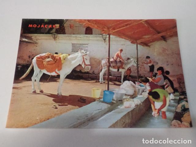 Postales: ALMERIA - POSTAL MOJ&Aacute;CAR - LAVANDER&Iacute;A T&Iacute;PICA - Foto 1